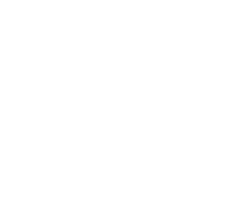 Canarian News logo all white