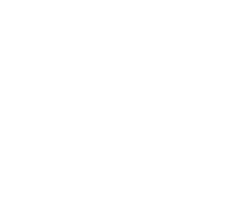 Canarian News logo all white
