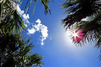 The Government updates the situation, moving to pre-alert due to maximum temperatures across all of the Canary Islands.